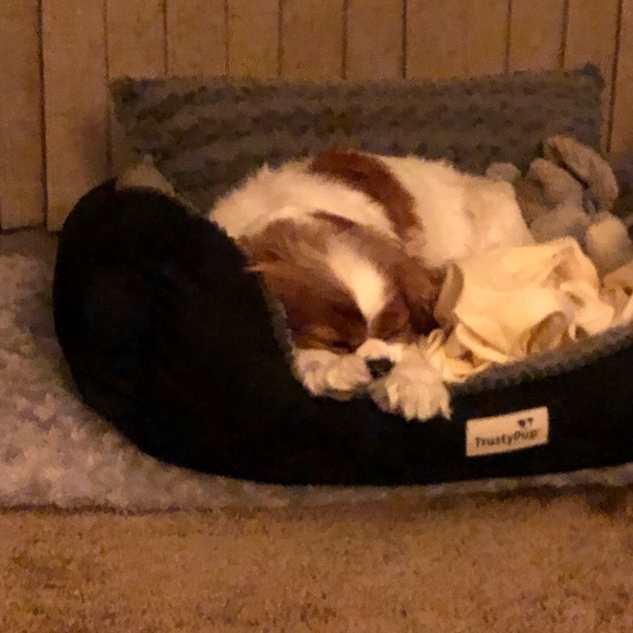 Meet your Posher, Lindsey - Picture 1 of 1